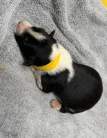 processed/fa5739ab-f2a5-4943-9ce8-2e5ba1d81e85/listing/114cb801-97f2-4223-861f-e13b46a0eba7/3bd63019-c436-49b7-b768-cda9e5e62a02