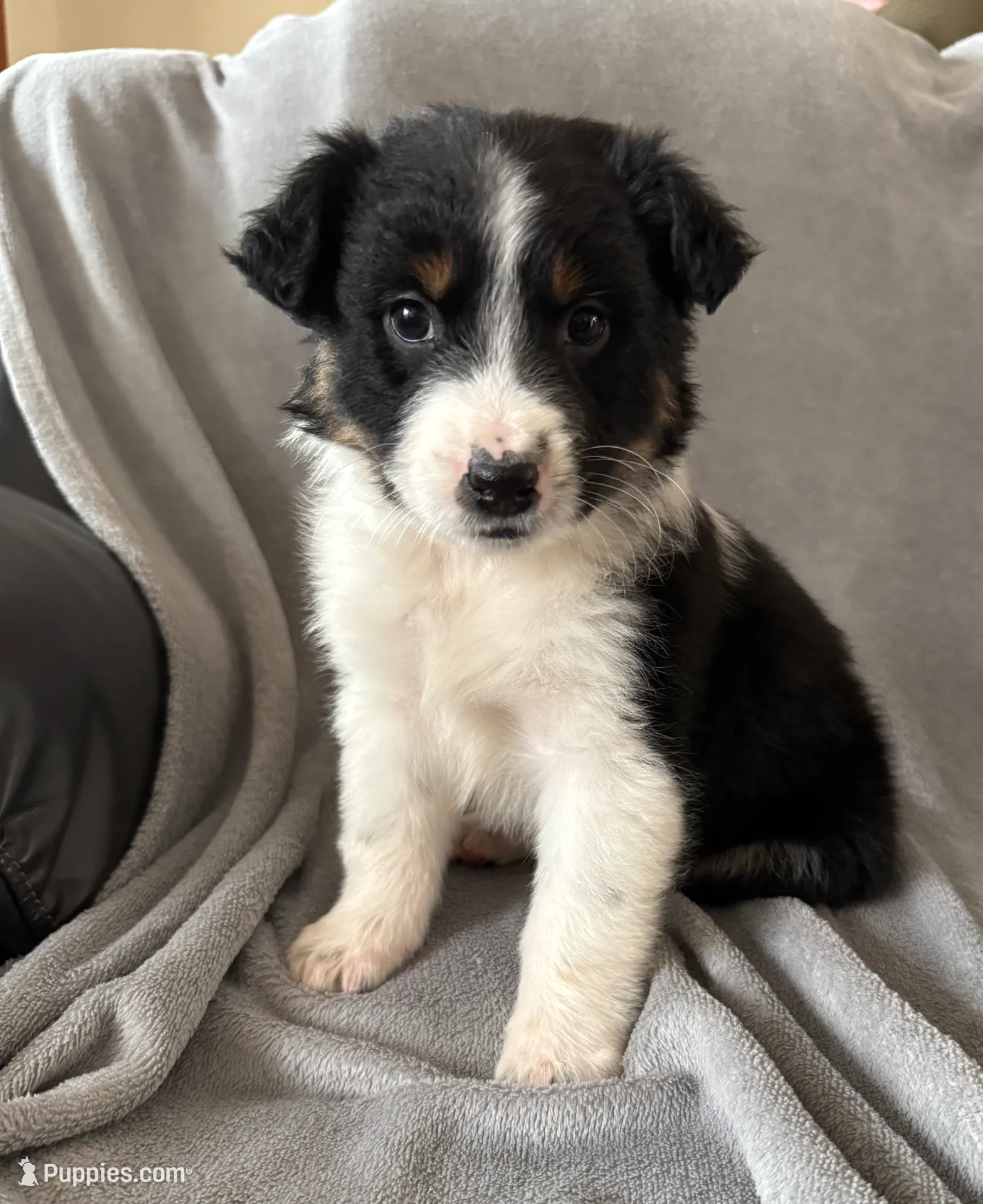 processed/fa5739ab-f2a5-4943-9ce8-2e5ba1d81e85/listing/114cb801-97f2-4223-861f-e13b46a0eba7/418ced9c-5b15-49fc-9bb5-a2a838c9ebea