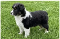 processed/fa5739ab-f2a5-4943-9ce8-2e5ba1d81e85/listing/114cb801-97f2-4223-861f-e13b46a0eba7/82f7ac35-ee93-4037-afb6-9b2c31dff43c