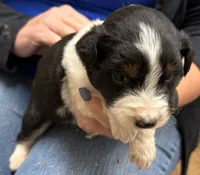 processed/fa5739ab-f2a5-4943-9ce8-2e5ba1d81e85/listing/114cb801-97f2-4223-861f-e13b46a0eba7/a01a58c8-4b32-4ca4-a692-18601a8f82e8