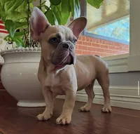 processed/fa5be621-3664-4470-b38f-fbbfbf2f80cb/facility/8f4ae915-aaf9-4569-81cf-1547408390af