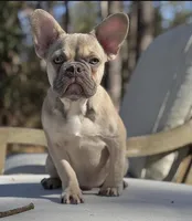 processed/fa5be621-3664-4470-b38f-fbbfbf2f80cb/facility/9021a2a8-ce98-43e1-8dfc-8d779306cf52