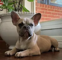 processed/fa5be621-3664-4470-b38f-fbbfbf2f80cb/facility/a751c72b-9440-4e10-9141-e83e140b5da3