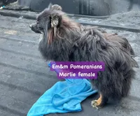 processed/fa5fa2c4-f1f7-4d7b-9bac-85943e75cad2/listing/0269184d-be1c-4a93-ab7f-22d82a30fb26/0355b59e-25dc-4ebb-ac4c-b80352b9d030