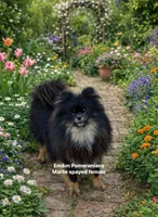 processed/fa5fa2c4-f1f7-4d7b-9bac-85943e75cad2/listing/0269184d-be1c-4a93-ab7f-22d82a30fb26/07e80758-1de1-4a49-98d4-0d5dedbe202c