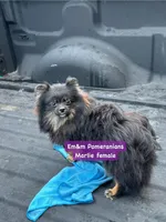 processed/fa5fa2c4-f1f7-4d7b-9bac-85943e75cad2/listing/0269184d-be1c-4a93-ab7f-22d82a30fb26/978ea0be-7936-4936-95e9-471f80553df0