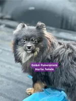 processed/fa5fa2c4-f1f7-4d7b-9bac-85943e75cad2/listing/0269184d-be1c-4a93-ab7f-22d82a30fb26/a5346a3a-eb6c-4535-b7d8-cb2412f56503