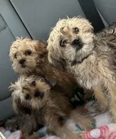 processed/fa5fa2c4-f1f7-4d7b-9bac-85943e75cad2/listing/a3b10ad5-ff44-4392-8a45-4c2eba66fb15/62418cde-30a6-4593-b3c3-4cdf3a3c2ec1