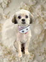 processed/fa5fa2c4-f1f7-4d7b-9bac-85943e75cad2/listing/a3b10ad5-ff44-4392-8a45-4c2eba66fb15/88c39022-9ed0-409d-9398-a2a4c93b7249