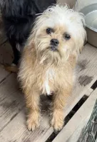 processed/fa5fa2c4-f1f7-4d7b-9bac-85943e75cad2/listing/a3b10ad5-ff44-4392-8a45-4c2eba66fb15/91deafe0-afeb-43a3-a9ed-68ecb0c74717