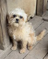 processed/fa5fa2c4-f1f7-4d7b-9bac-85943e75cad2/listing/b7606eb0-b628-4b07-9db3-19c6ed9dd4a7/60f3c5ac-38bb-4b98-9471-23d55531c113