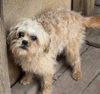 processed/fa5fa2c4-f1f7-4d7b-9bac-85943e75cad2/listing/b7606eb0-b628-4b07-9db3-19c6ed9dd4a7/d9819d90-db28-4a54-bde3-85041d2cbd52