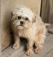 processed/fa5fa2c4-f1f7-4d7b-9bac-85943e75cad2/listing/b7606eb0-b628-4b07-9db3-19c6ed9dd4a7/db343d13-43f0-49e5-a0c2-c0f493541b9d