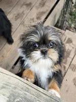 processed/fa5fa2c4-f1f7-4d7b-9bac-85943e75cad2/listing/bb84cfd5-b556-41df-b40e-8e4e2a1ce5b9/b9e77476-7cbe-432e-8b5e-456f249b3304