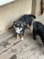 processed/fa5fa2c4-f1f7-4d7b-9bac-85943e75cad2/listing/bb84cfd5-b556-41df-b40e-8e4e2a1ce5b9/f6d00795-0234-483a-833c-69cf75168836