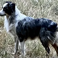 processed/fa786a29-e554-4e6f-af71-6f1915da56c6/facility/11b2b77c-0df4-4f01-ad46-200c42f55a7c