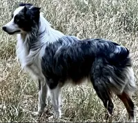 processed/fa786a29-e554-4e6f-af71-6f1915da56c6/facility/11b2b77c-0df4-4f01-ad46-200c42f55a7c