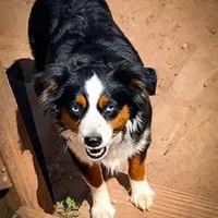 processed/fa786a29-e554-4e6f-af71-6f1915da56c6/facility/16cd7507-70d5-45ba-bd66-b7378e844fb4