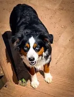 processed/fa786a29-e554-4e6f-af71-6f1915da56c6/facility/16cd7507-70d5-45ba-bd66-b7378e844fb4