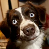 processed/fa786a29-e554-4e6f-af71-6f1915da56c6/facility/6f902558-c8ee-4ab6-a44d-2326842a75fd