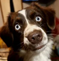 processed/fa786a29-e554-4e6f-af71-6f1915da56c6/facility/6f902558-c8ee-4ab6-a44d-2326842a75fd