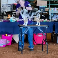 processed/fa786a29-e554-4e6f-af71-6f1915da56c6/facility/82c5be8d-6664-4250-9e32-7e512e320c79