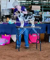 processed/fa786a29-e554-4e6f-af71-6f1915da56c6/facility/82c5be8d-6664-4250-9e32-7e512e320c79