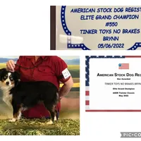 processed/fa786a29-e554-4e6f-af71-6f1915da56c6/facility/d16a2966-f755-45ec-b19e-bf6049f76353