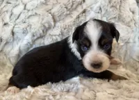 processed/fa786a29-e554-4e6f-af71-6f1915da56c6/listing/7ded9da3-145a-44af-9d3e-a0c61b05b9ac/27888f6e-f95d-43f7-abd0-1627fdddd16d