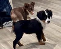 processed/fa786a29-e554-4e6f-af71-6f1915da56c6/listing/7ded9da3-145a-44af-9d3e-a0c61b05b9ac/48f55c92-1c24-4b89-b000-9ef5da101769