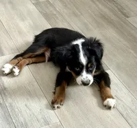 processed/fa786a29-e554-4e6f-af71-6f1915da56c6/listing/7ded9da3-145a-44af-9d3e-a0c61b05b9ac/72a76934-6c3c-4ad2-9ee7-d8420747d2ce