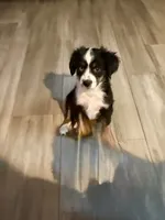 processed/fa786a29-e554-4e6f-af71-6f1915da56c6/listing/7ded9da3-145a-44af-9d3e-a0c61b05b9ac/82cdb763-30dd-4879-b11a-acb41eca8ef3