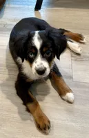 processed/fa786a29-e554-4e6f-af71-6f1915da56c6/listing/7ded9da3-145a-44af-9d3e-a0c61b05b9ac/8451d8dc-414a-443d-a53c-561c4b61a001