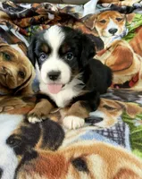 processed/fa786a29-e554-4e6f-af71-6f1915da56c6/listing/7ded9da3-145a-44af-9d3e-a0c61b05b9ac/922d1938-17d6-4e2d-b0c9-f0d16d02252d