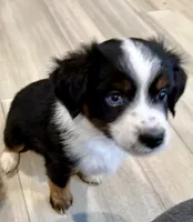 processed/fa786a29-e554-4e6f-af71-6f1915da56c6/listing/7ded9da3-145a-44af-9d3e-a0c61b05b9ac/c4669a48-1d93-4953-840c-e34a291616a1