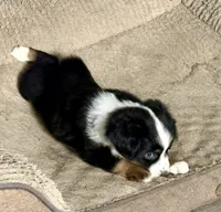 processed/fa786a29-e554-4e6f-af71-6f1915da56c6/listing/7ded9da3-145a-44af-9d3e-a0c61b05b9ac/c5ba33a6-5664-47c3-85a4-286222e54320