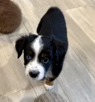 processed/fa786a29-e554-4e6f-af71-6f1915da56c6/listing/7ded9da3-145a-44af-9d3e-a0c61b05b9ac/d85412c8-0ce7-44da-814e-26d46637e16f