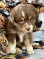 processed/fa786a29-e554-4e6f-af71-6f1915da56c6/listing/bc3c56c6-38df-4d6a-87b3-b17599f7e061/22f53898-72ed-4542-a186-d3880e1c1f7f