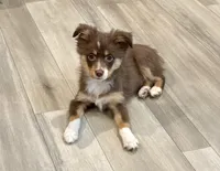 processed/fa786a29-e554-4e6f-af71-6f1915da56c6/listing/bc3c56c6-38df-4d6a-87b3-b17599f7e061/30b51ade-a66b-4b9f-8306-ecc21b6f8eb0