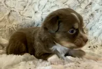 processed/fa786a29-e554-4e6f-af71-6f1915da56c6/listing/bc3c56c6-38df-4d6a-87b3-b17599f7e061/5e0b3899-9939-43a5-b524-aa0db29cfd1f