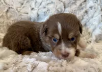 processed/fa786a29-e554-4e6f-af71-6f1915da56c6/listing/bc3c56c6-38df-4d6a-87b3-b17599f7e061/dd18ea61-bfc4-4ff7-bc51-faab5adda26b