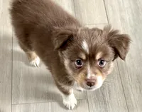 processed/fa786a29-e554-4e6f-af71-6f1915da56c6/listing/bc3c56c6-38df-4d6a-87b3-b17599f7e061/f4a685e0-0fee-46a4-b3b0-a0cccd771a4c