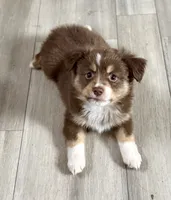 processed/fa786a29-e554-4e6f-af71-6f1915da56c6/listing/bc3c56c6-38df-4d6a-87b3-b17599f7e061/f6fd5422-68e3-476d-8800-5d723ca481ac