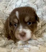 processed/fa786a29-e554-4e6f-af71-6f1915da56c6/listing/bc3c56c6-38df-4d6a-87b3-b17599f7e061/fdfda1f1-6ab2-4f2c-b9e7-fc04f1c527e6