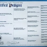 processed/fa822255-cf44-476b-a1f5-506a2b2be1c5/facility/01650dcc-06c3-40a1-b53f-0d1cc1317886