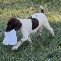 processed/fa822255-cf44-476b-a1f5-506a2b2be1c5/facility/1a1f0317-9be4-46f4-a3bf-20a49bd36b8c