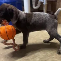 processed/fa822255-cf44-476b-a1f5-506a2b2be1c5/facility/1af35dd0-12fc-45b5-af12-3741d3a2c089