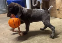 processed/fa822255-cf44-476b-a1f5-506a2b2be1c5/facility/1af35dd0-12fc-45b5-af12-3741d3a2c089