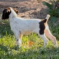 processed/fa822255-cf44-476b-a1f5-506a2b2be1c5/facility/1ba2f735-e825-44f2-bb96-b75750d9e24a