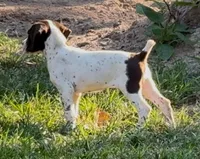 processed/fa822255-cf44-476b-a1f5-506a2b2be1c5/facility/1ba2f735-e825-44f2-bb96-b75750d9e24a